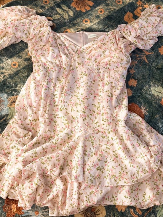 Altar'd State Dresses & Skirts - Altar'd State Pale Pink Floral Ruffled Mini Dress